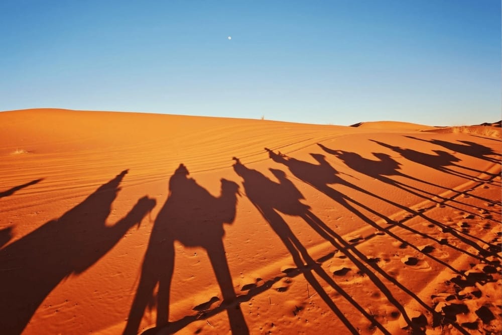Travelling in United Arab Emirates with an eSIM